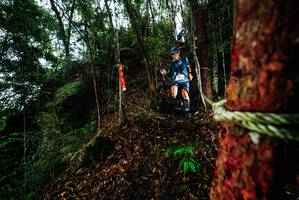 BIB: 
                            <button type="button" onclick="openModal(26198004)" class="btn btn-primary btn-sm float-right btn-popup" data-toggle="modal" data-target=".modal-high-quality">
                        <i class="fas fa-shopping-cart"></i> Add to Cart
                    </button>
                                            <button type="button" onclick="isThisMe(26198004, true)" class="btn btn-success btn-sm float-right btn-popup btn-isme hidden" data-toggle="tooltip" data-placement="bottom" title="นี่คือรูปของคุณใช่ไหม คลิกที่นี่เพื่อเอาเข้าอัลบั้ม">
                        <i class="fas fa-plus"></i> Add to album
                    </button>
                    <button type="button" onclick="isThisMe(26198004, false)" class="btn btn-warning btn-sm float-right btn-popup btn-isnotme hidden">
                        <i class="fas fa-ban"></i> Remove from album
                    </button>